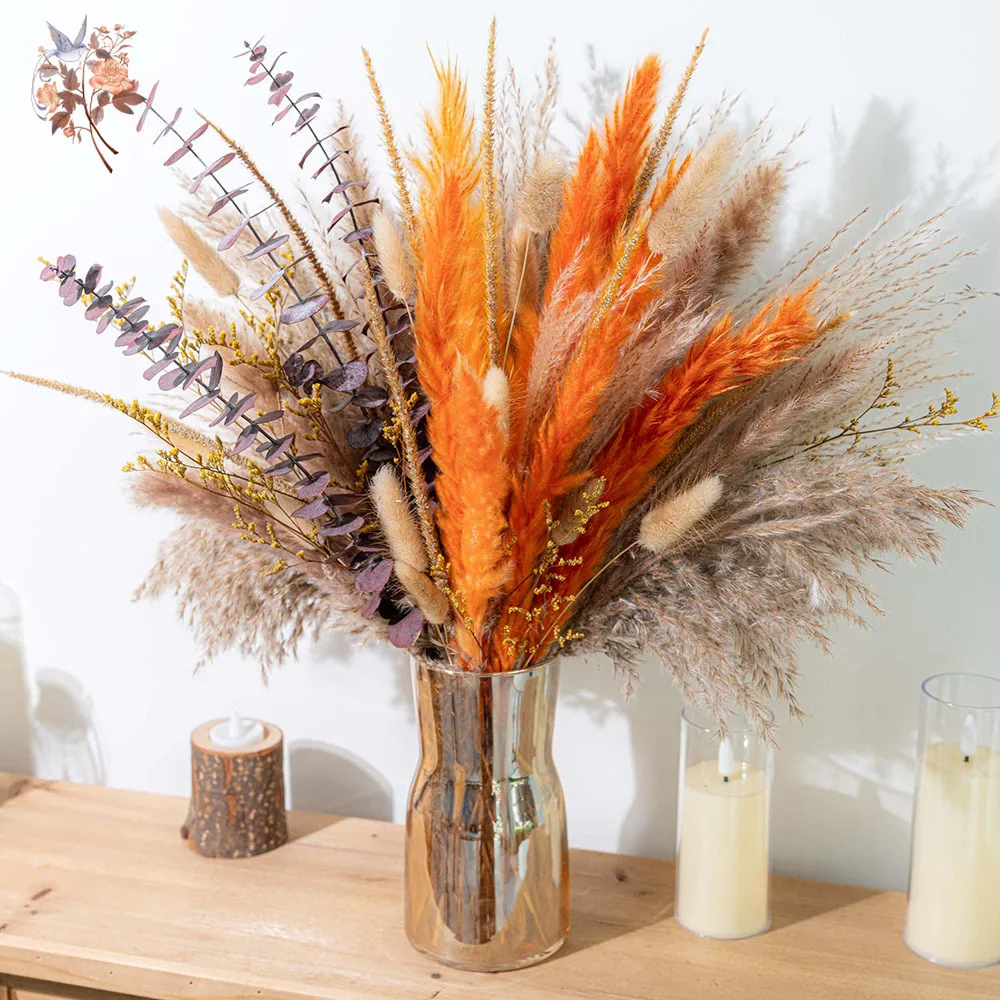 60pcs Orange Pampas Grass Drie - Eucalyptus Preserved recension och pris