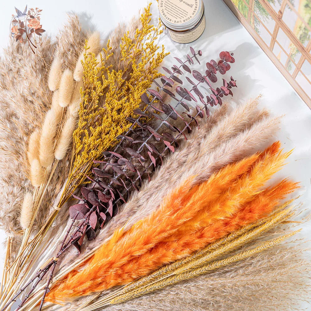 60pcs Orange Pampas Grass Drie - Eucalyptus Preserved recension och pris