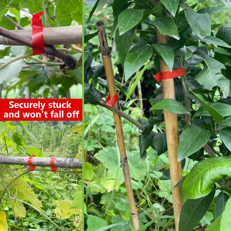 Household Garden Plant Tying T - Florist Supply Bulk recension och pris